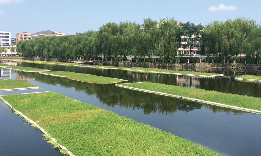 绍兴上虞后濠湖生态治理工程