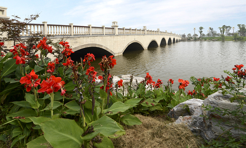 江苏大丰斗龙港公园环境修复项目