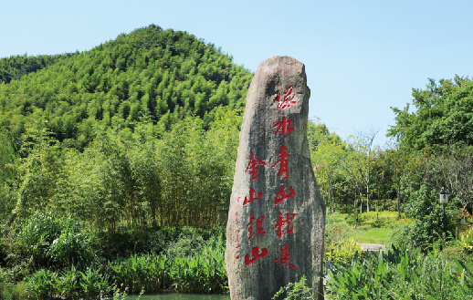 聚焦“双碳” | 华体app注册入口环境-新至双碳林业碳汇项目落...